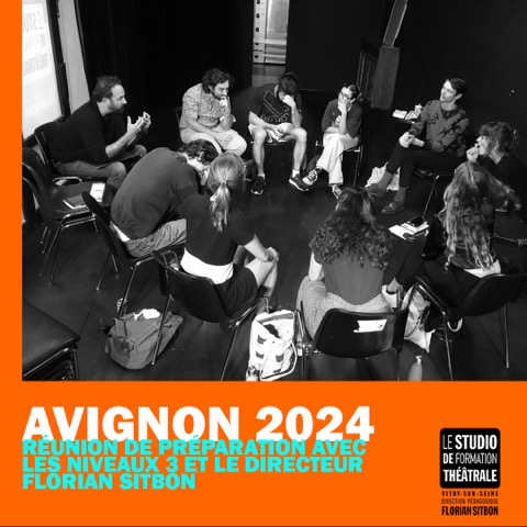 Les Niveau 3 vont en Avignon! 